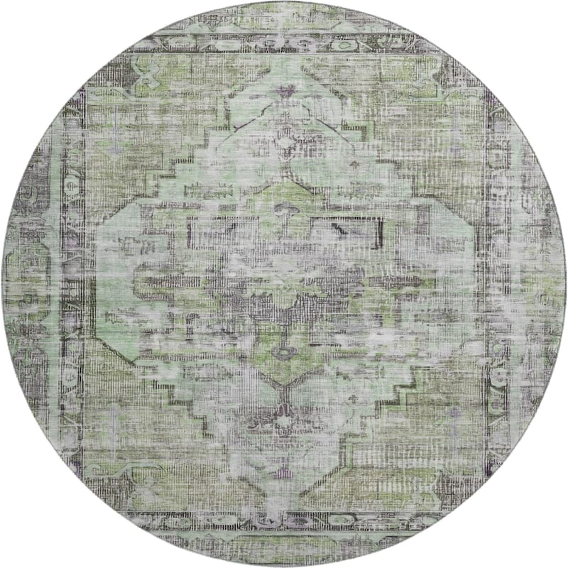 Premium Washable Super Soft Vintage Traditional Mayfield Rug