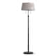 Option Empire_TanShade