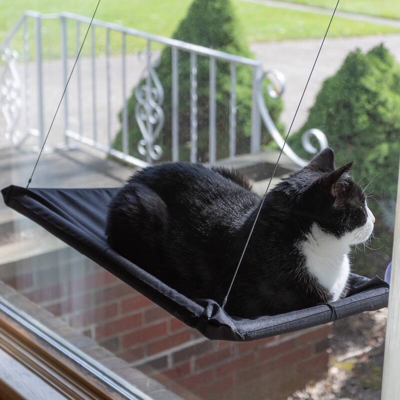 Petmaker Cat Window Perch for Large Cats, Black - N/A