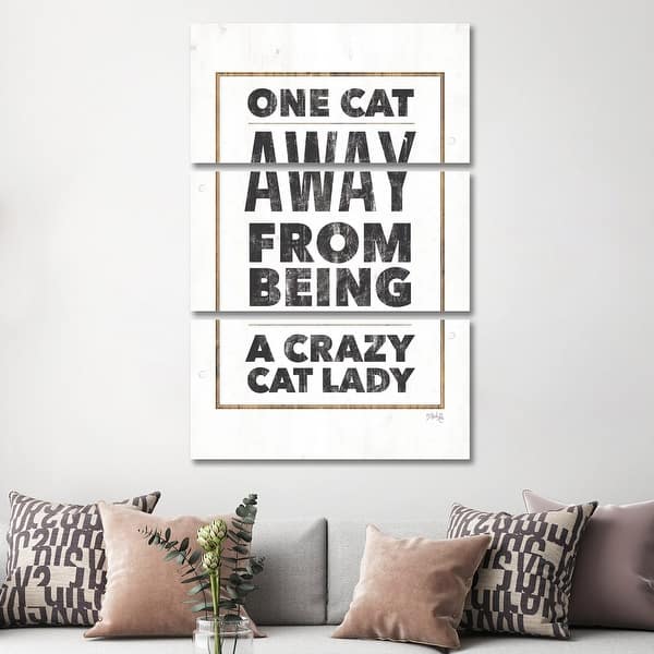 slide 4 of 4, iCanvas "Crazy Cat Lady" by Marla Rae 3-Piece Canvas Wall Art Set 60x40x0.75