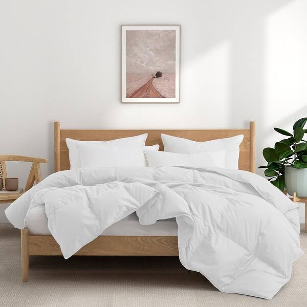 All Season 100% Organic Cotton Down Duvet Insert Medium Warmth Comforter - Full-Queen (88"x90") - Medium Weight White