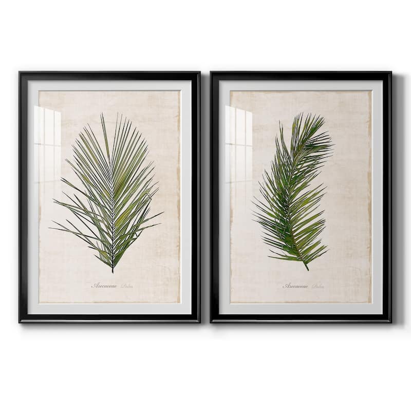 Palm Botanical I Premium Framed Print - Ready to Hang