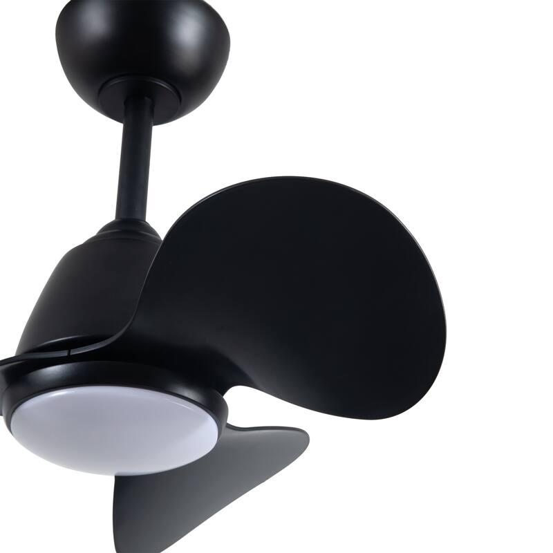 Cian Modern Black Lighted Ceiling Fan 3-Blade LED Remote Control
