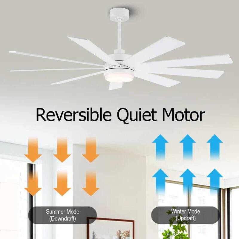 MLiAN DC Motor Indoor Ceiling Fan with Light and Remote