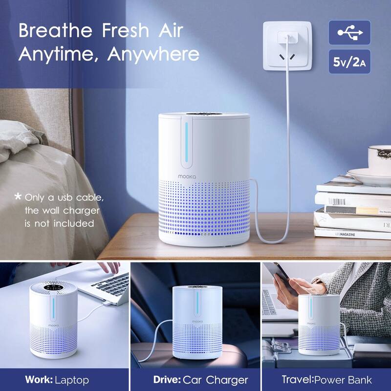 Portable H13 HEPA Air Purifier for Pets and Smoke