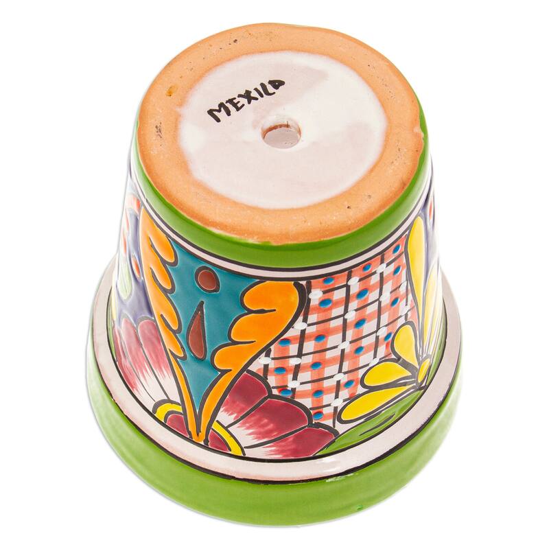 Novica Handmade Kiwi Elysium Ceramic Flower Pot