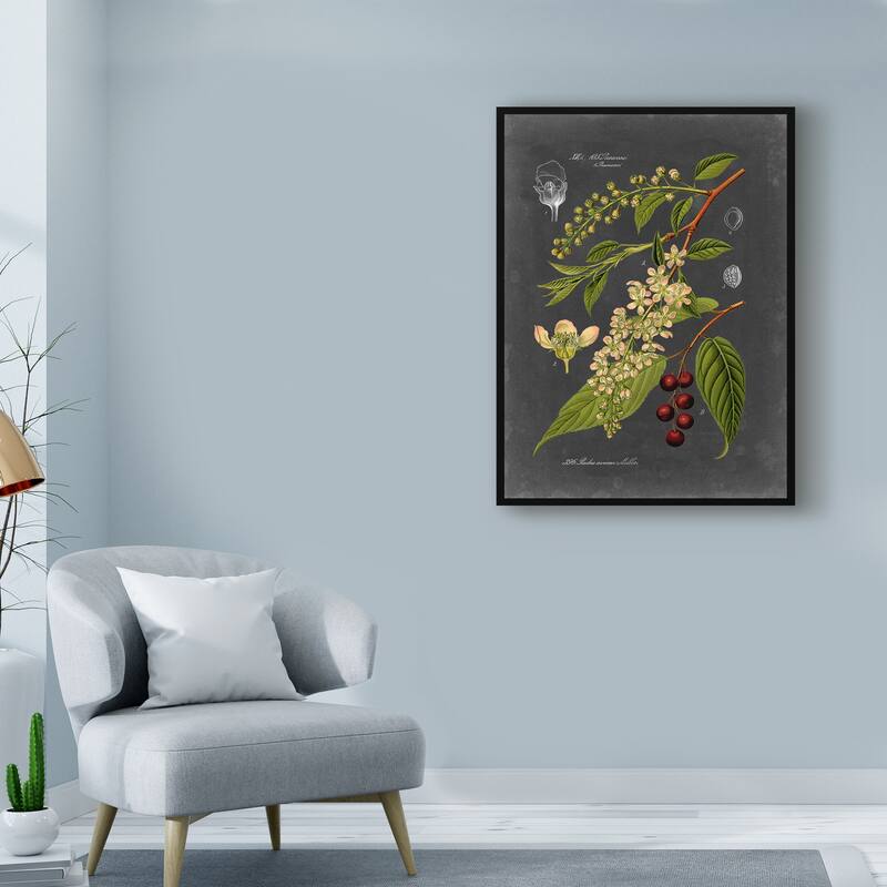 Vision Studio 'Midnight Botanical Ii' Canvas Art