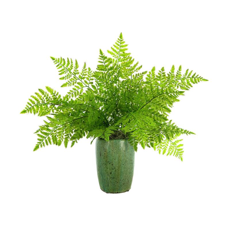 Organic Modern Fern Arranged in a Ceramic Pot - Green