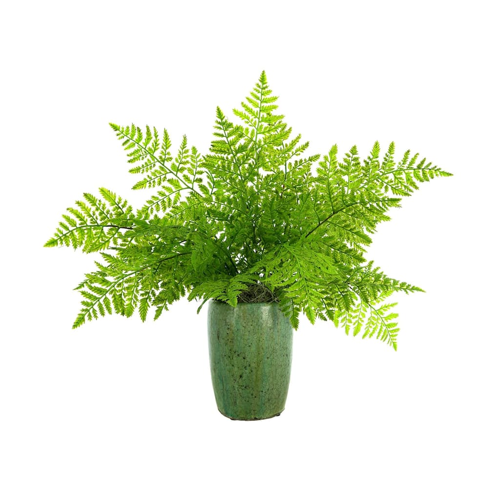 Organic Modern Fern Arranged in a Ceramic Pot - Green