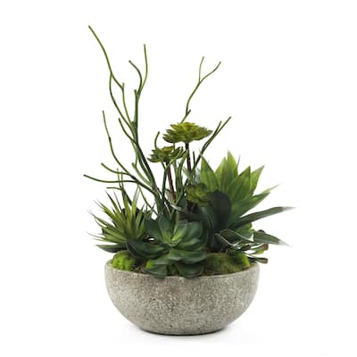 Faux Succulents & Agave Plant in Round Concrete Bowl - Green