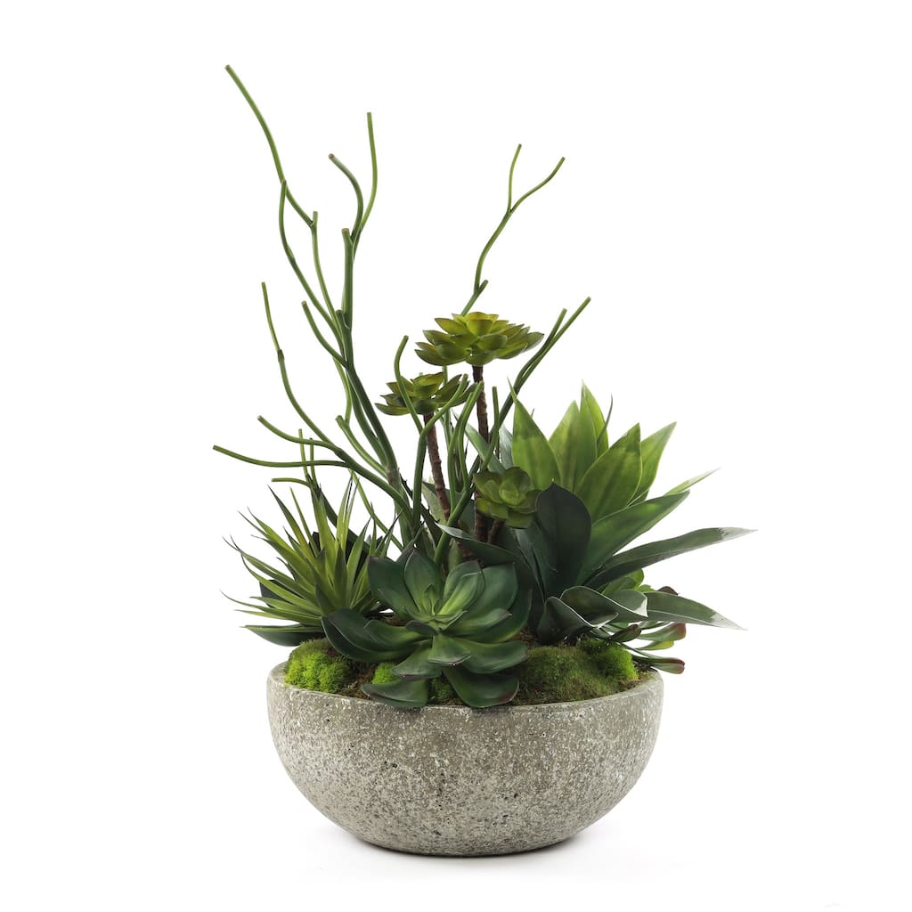 Faux Succulents & Agave Plant in Round Concrete Bowl - Green