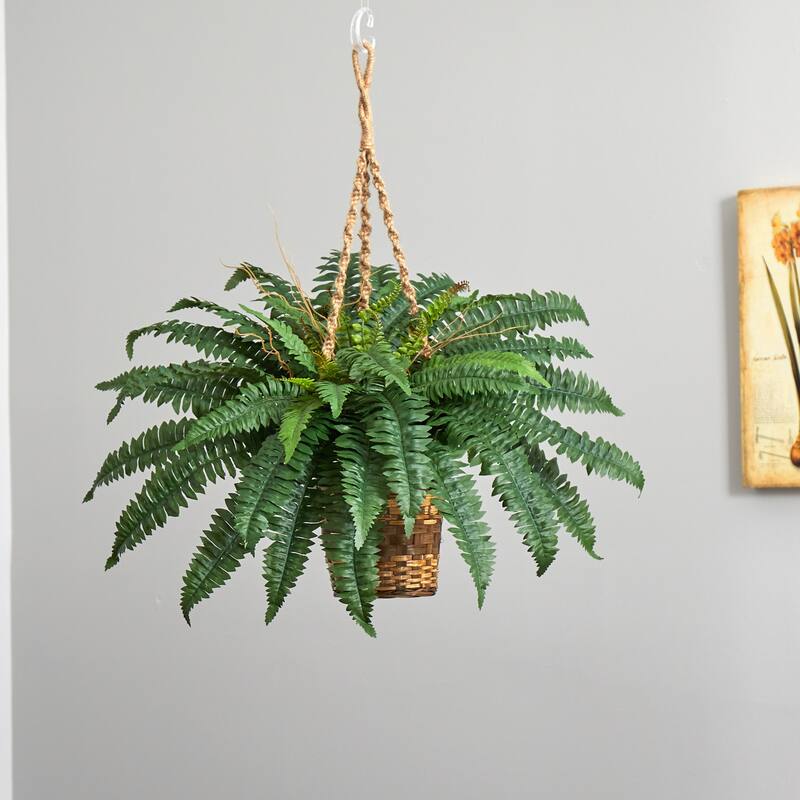 Hanging Fern Basket Indoor Decor - 22" City Chic Greenery - Thick Rope - Home Accent