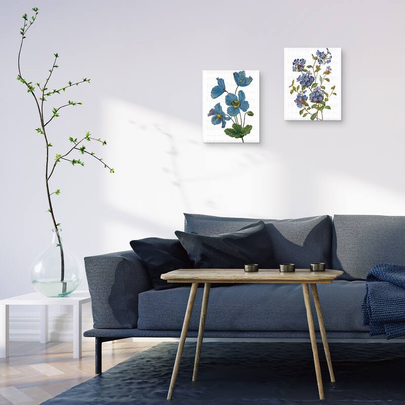 Himalayan Blue Poppy & Chinese Plumbago Text Canvas Art Prints