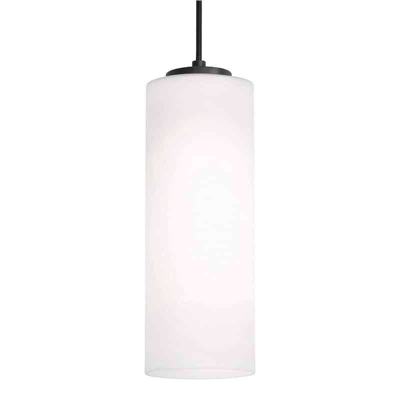 AFX Leo 12'' Medium Base Pendant - Black