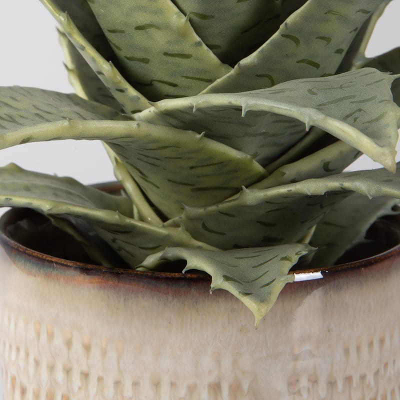 Uttermost 60208 Seaside Succulents 12" Tall Ceramic Faux Flora Planter - Tan