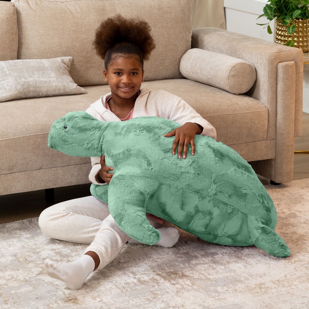 Raven-Symone Shelly the Turtle Sea Buddy Large Kids Stuffed Animal Bean Bag and Pouf