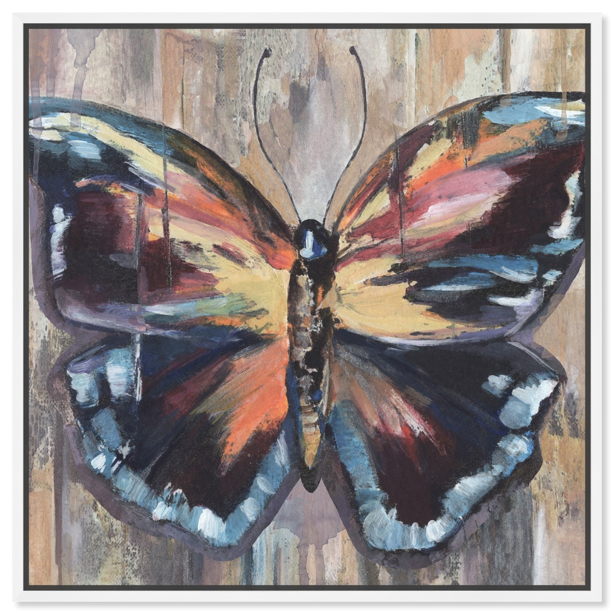 Butterfly S Beauty Canvas Butterfly Art Prints by Art Remedy