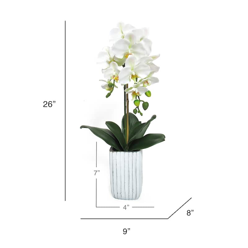 Cream White Artificial Phalaenopsis Orchid Flower Arrangement in Tall Embossed Stripe Ceramic Pot 26in - 26" H x 9" W x 8" DP