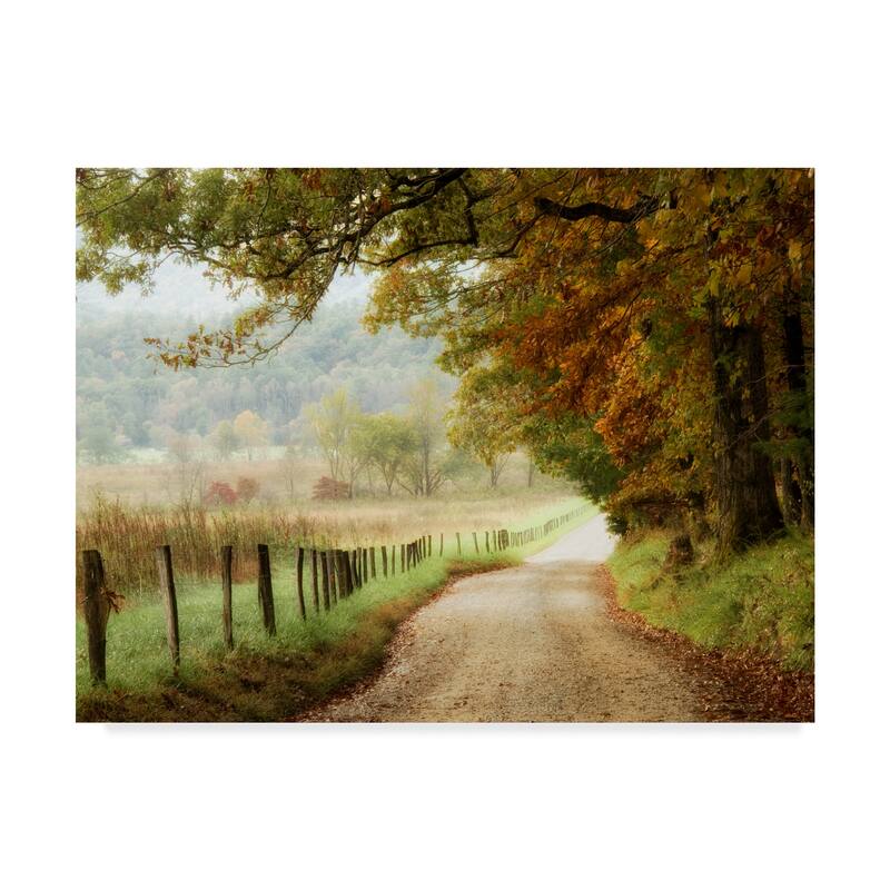 Danny Head 'Autumn On A Country Road' Canvas Art