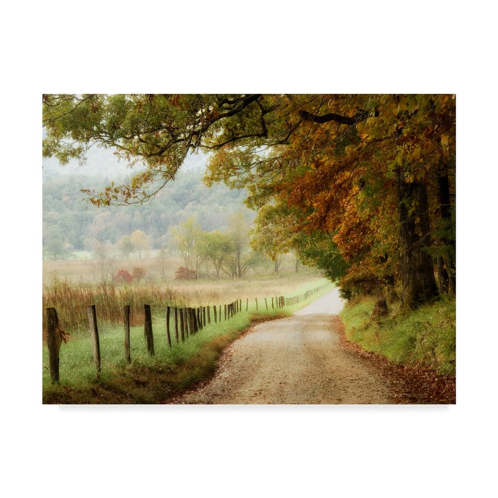 Danny Head 'Autumn On A Country Road' Canvas Art