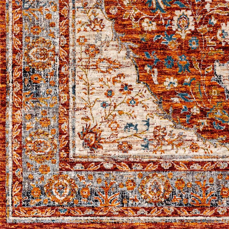 Artistic Weavers Vaani Traditional Area Rug