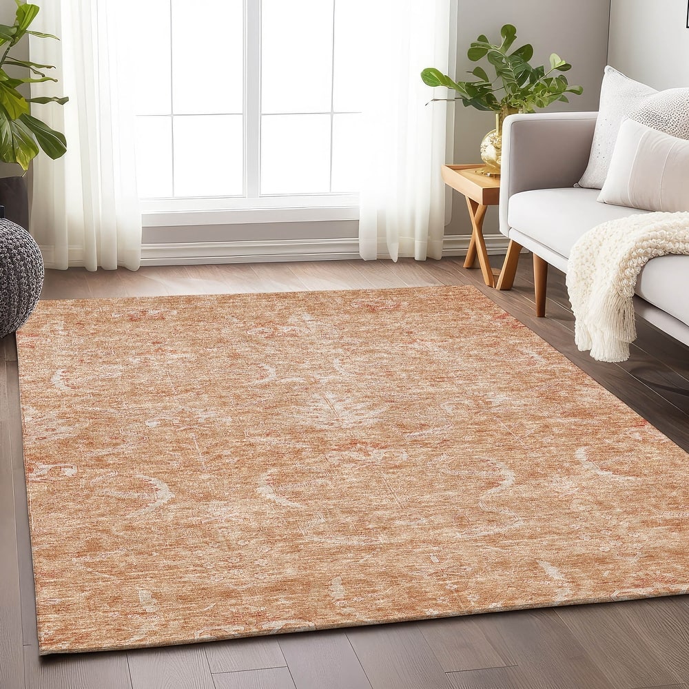 Machine Washable Indoor/ Outdoor Boho Traditional Chantille Rug
