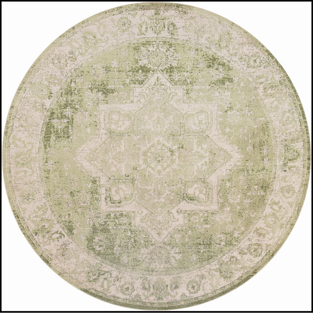 Nourison Astra Machine Washable Distressed Area Rug