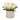 10" White Peony Flower Bouquet in White Basket - 10 in