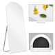 Arched Top Full-length Freestanding/ Leaning/ Hanging Wall Mirror
