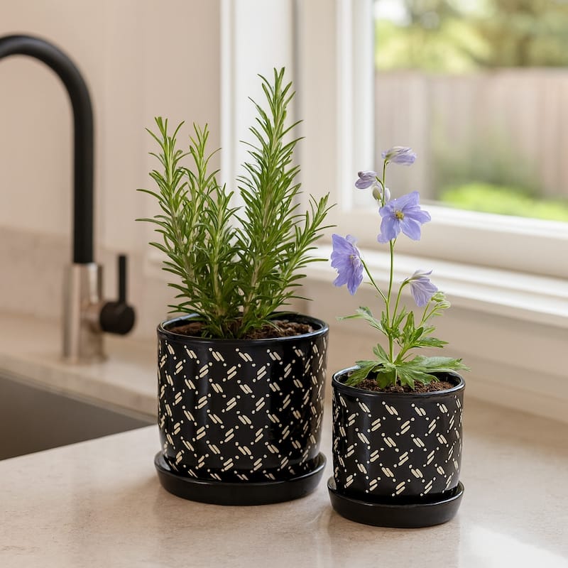 Ceramic Dots Saucer Planters Set of 2 - Black, 6/8 in.