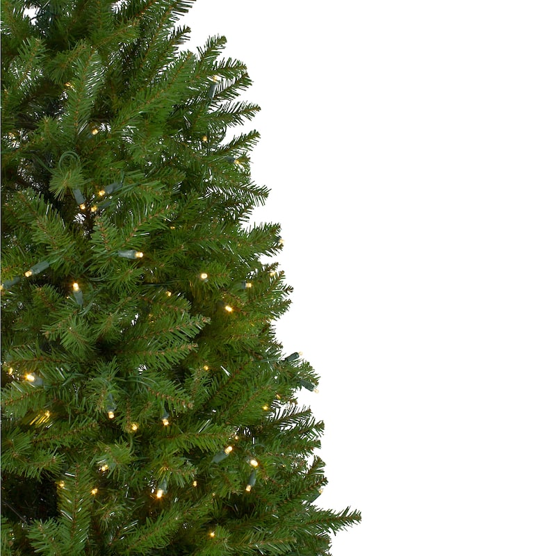 12' Northern Pine Full Artificial Christmas Tree Warm Clear LED Lights - over-10-feet