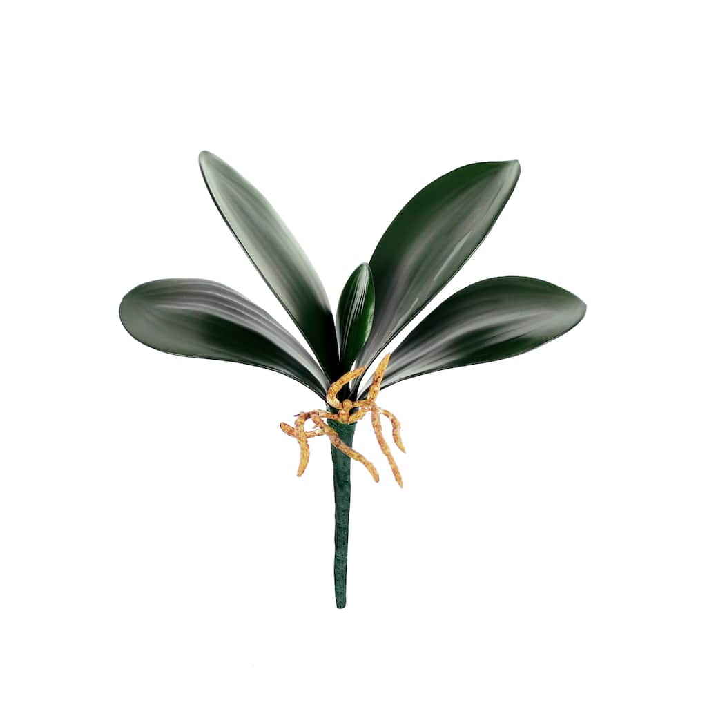 Set of 3 Artificial Phalaenopsis Orchid Leaf Plant Greenery Foliage Spray Branch with Roots 9in - 7" L x 9" W x 2.5" DP