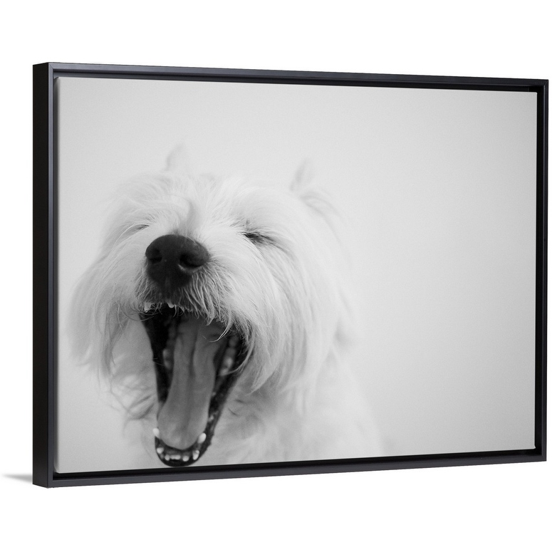 Laurels westies shop