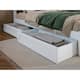 Option White
