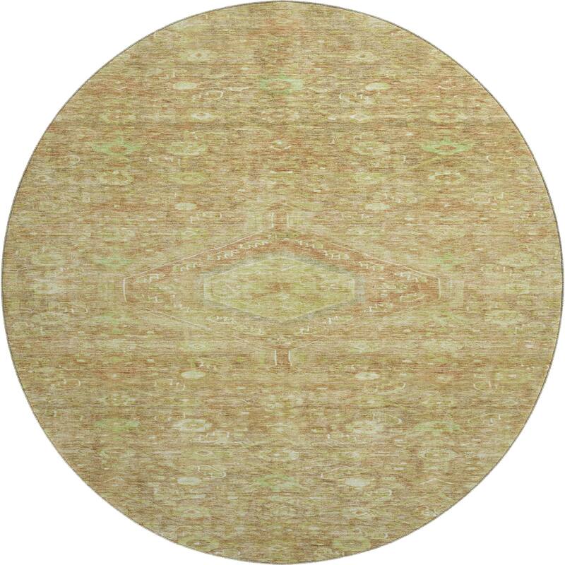 Premium Washable Super Soft Traditional Global Mayfield Rug
