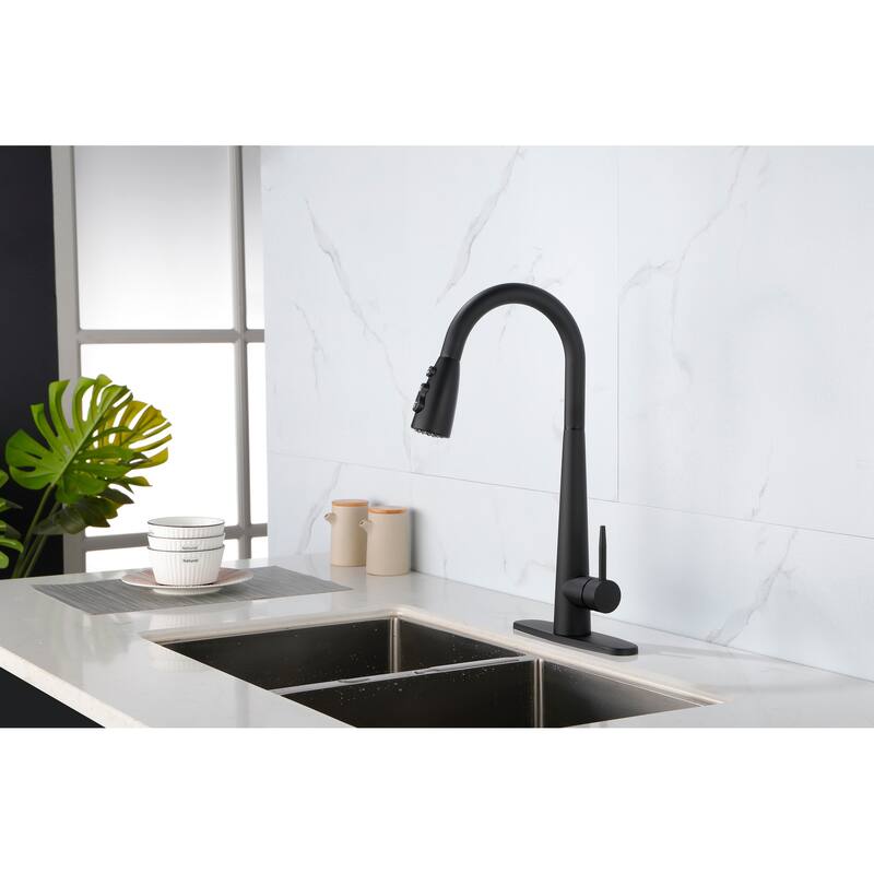 Single Handle Kitchen Sink Faucet with Pull Down Sprayer