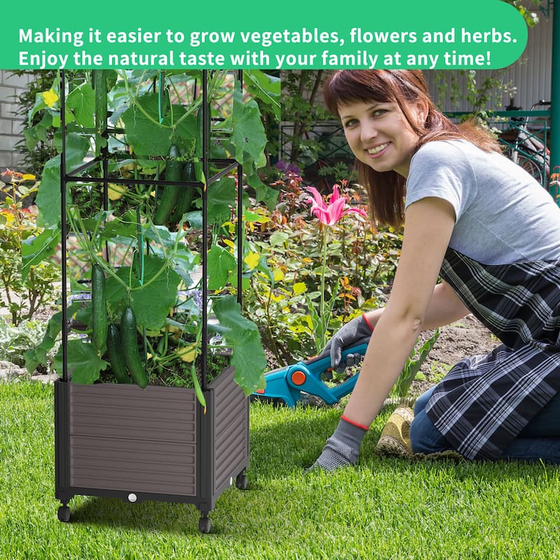 DoCred Raised Garden Bed Planter Box with Wheels and Tall Trellis