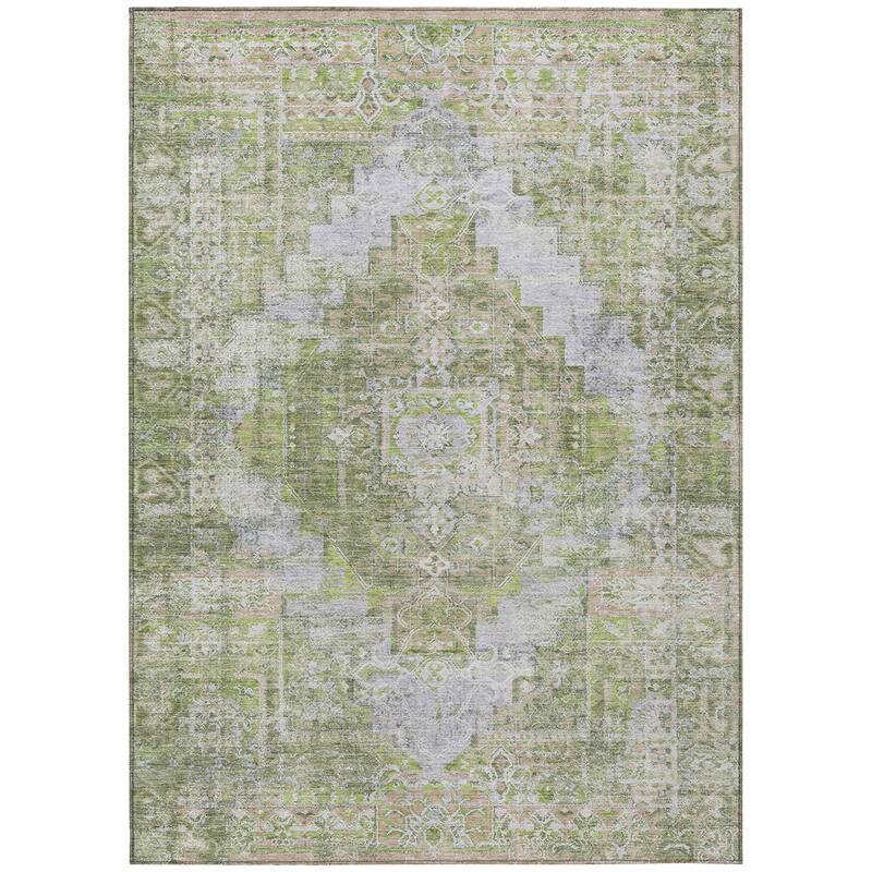 Machine Washable Indoor/Outdoor Traditional Global Chantille Rug