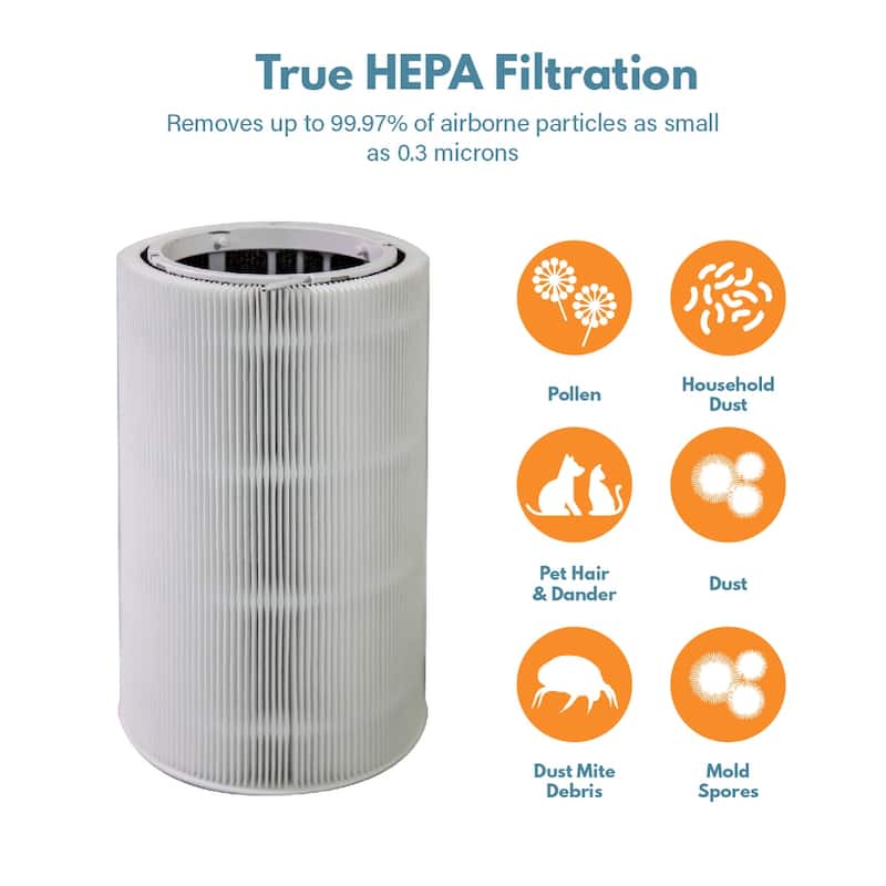 Filter-Monster Replacement True HEPA for Blueair Blue Pure 411 Particle and Carbon Filter