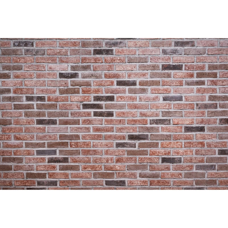 Ackland AKM-B-TE2.25X7.5SWN-CA Terabrik - 11" x 28" Clay Floor and