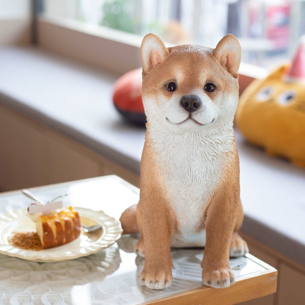 SoReal Brown Shiba