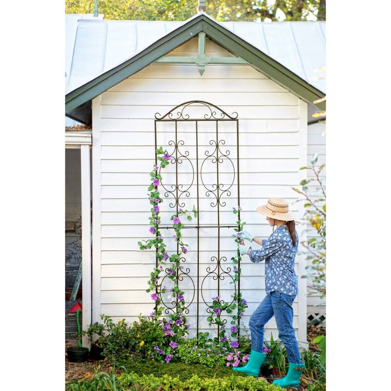 Montebello Metal Tall Garden Trellis
