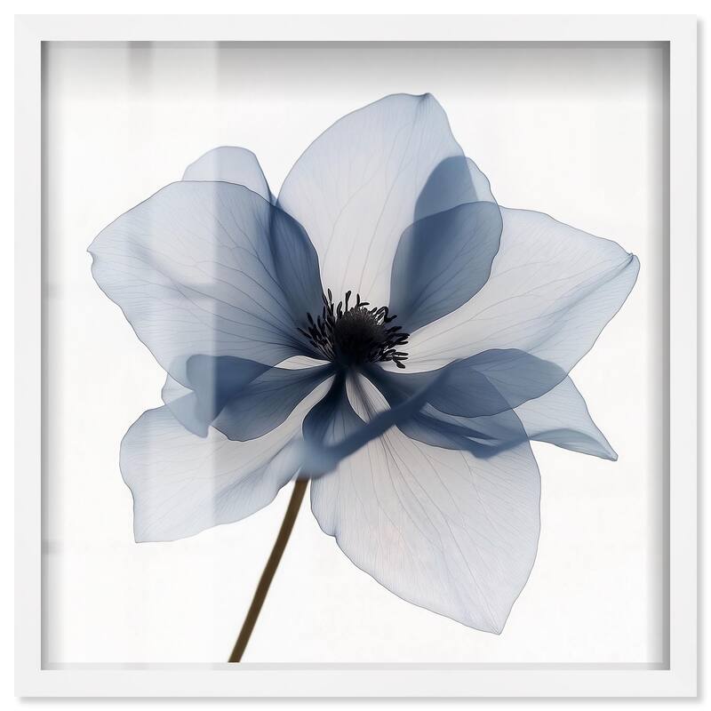 Morning Petalia II Shadowbox by Art Remedy - White - 16" x 16"