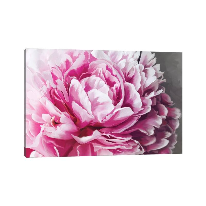 iCanvas "Peony Blush" by 5by5collective Canvas Print