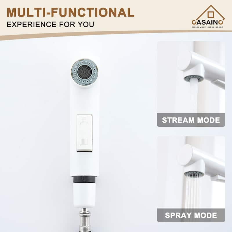Single Handle Pull Out Sprayer Kitchen Faucet