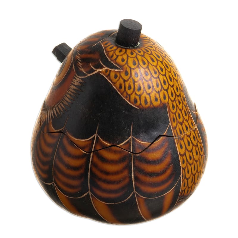 Novica Handmade Owls Wisdom Dried Mate Gourd Decorative Box