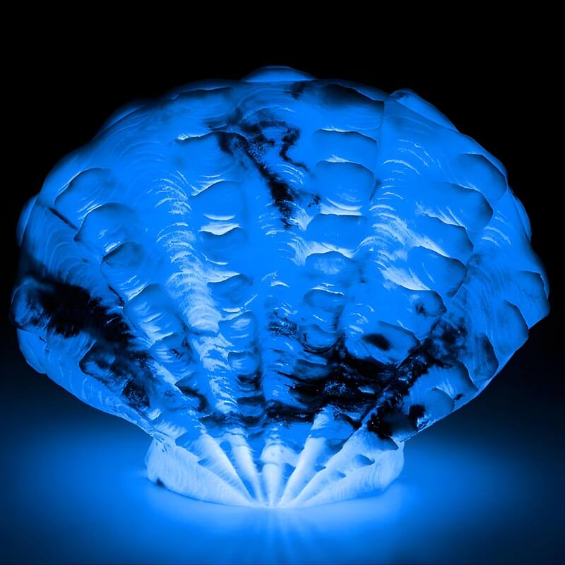 Aria Home Scallop Shell Table Lamp Sculpted Sandstone coastal accent