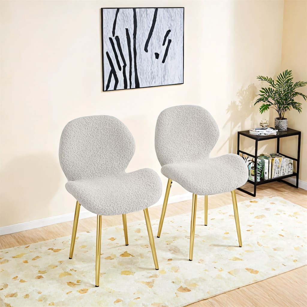 Set of 2 Modern Minimalist Teddy Velvet Dining Chairs