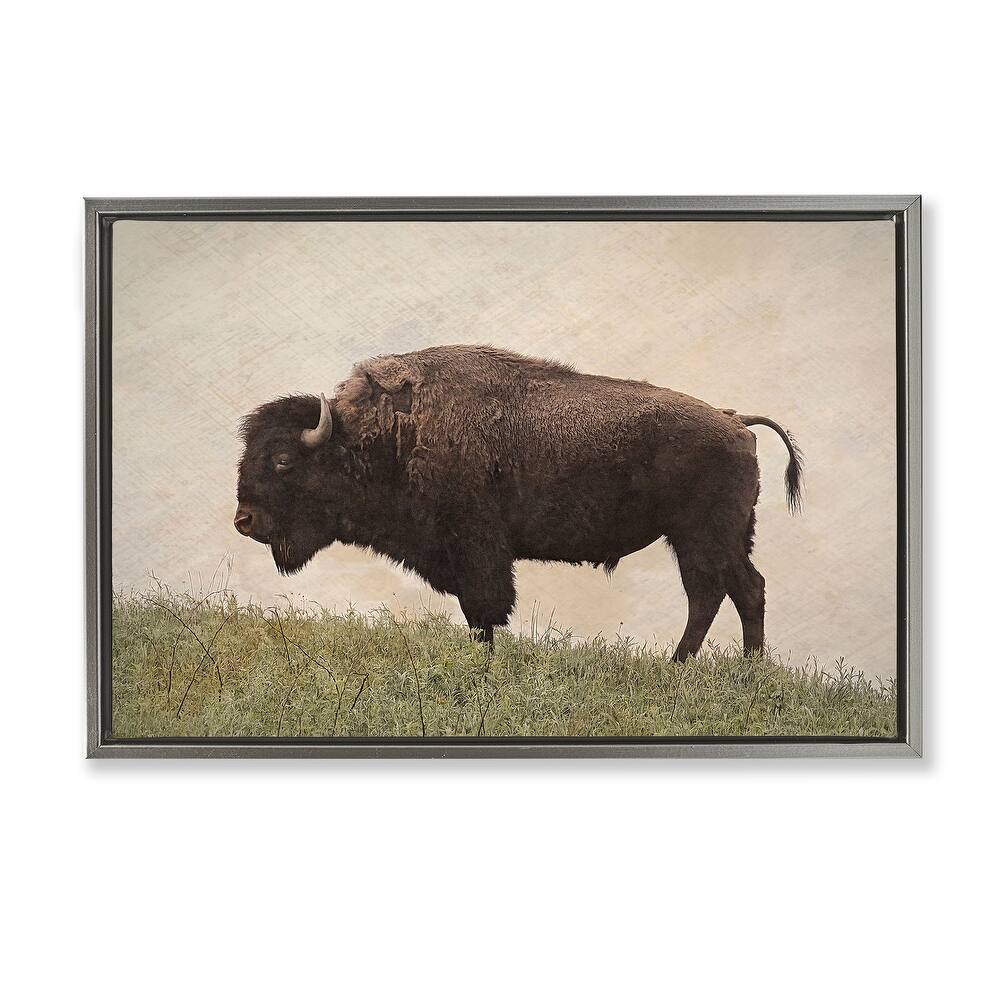 Stupell Serene Buffalo on Country Hill Framed Floater Canvas Wall Art Design By Steve Toole