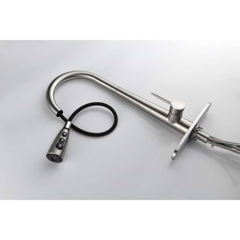 Single Handle Stainless Steel Kitchen Sink Faucet with Pull Down Sprayer